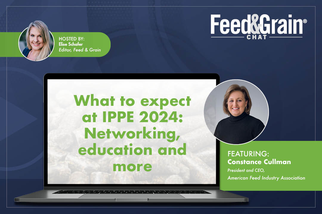 康斯坦斯库尔曼视频聊天