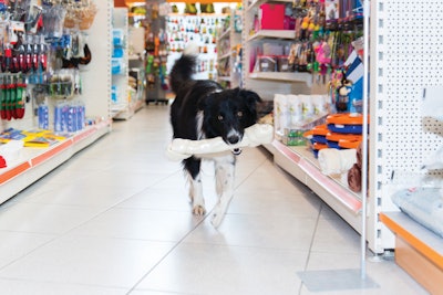 While the pet food industry has inarguably shown itself to be resistant during shaky economic times, pet owners are still being affected by financial challenges.