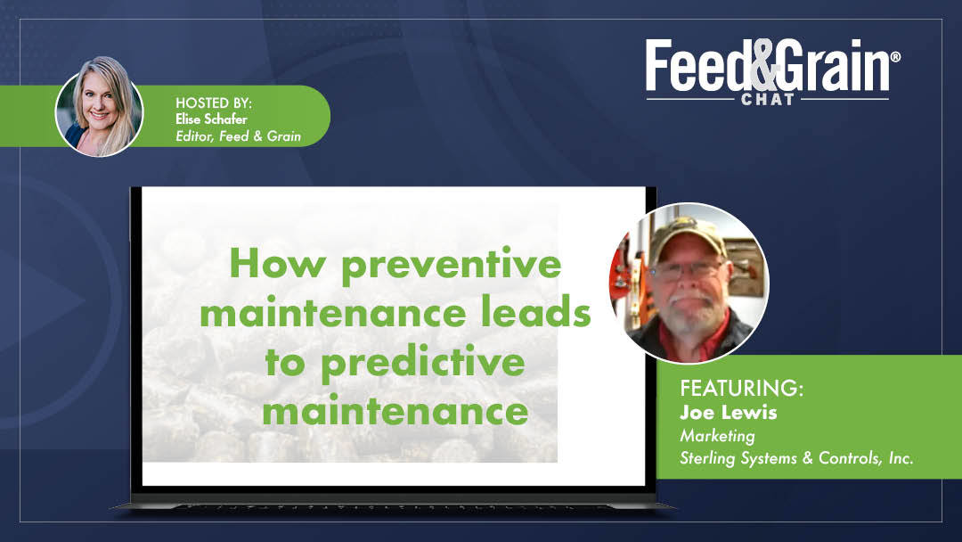 Joe LewisFg视频聊天