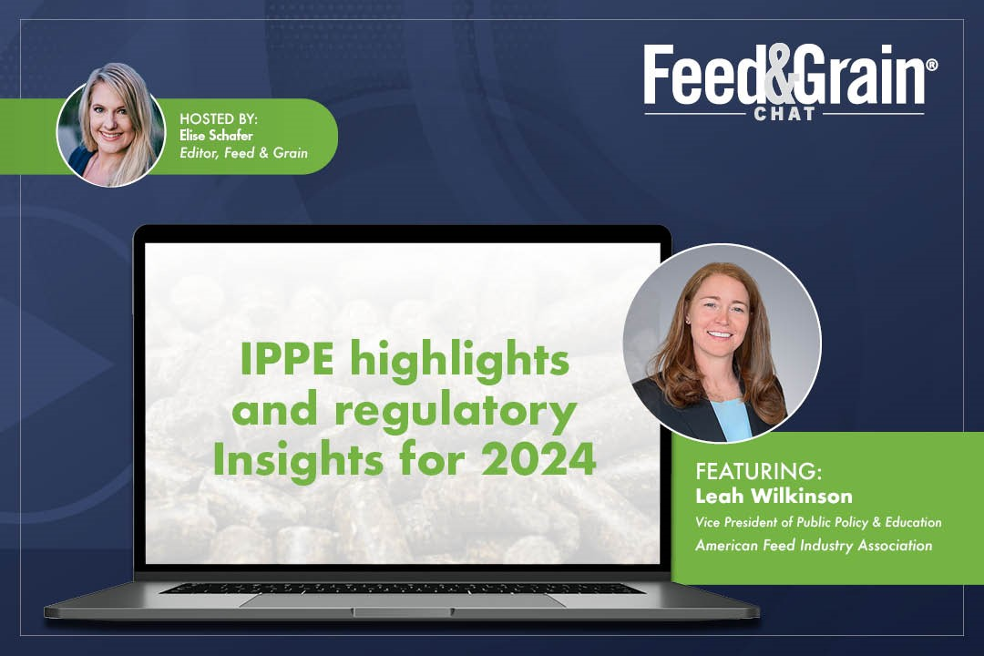 利赫威尔金森视频聊天