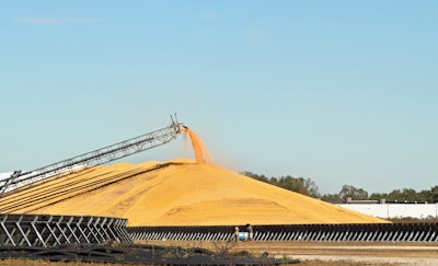 Pile Of Grain