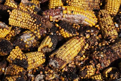Moldy Corn Bkgrnd