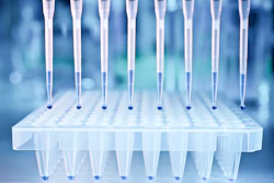 Pcr Samples