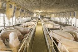 PexelsMark Stebnicki 6791938