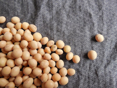 Soybeans On Cloth Pixabay