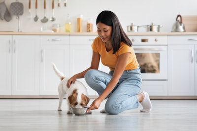 Terrier Eating Pet Owner