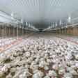 Broiler House