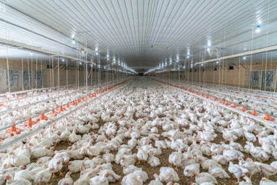 Broiler House