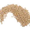 Animal Feed Pellets