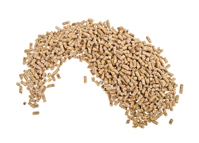 Animal Feed Pellets