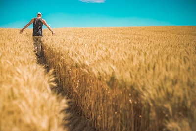Farmer Wheat Field Pixabay