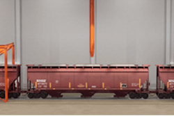 Rayhawk Product Image