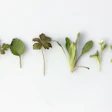 Angele Kamp Kcv R Ht Ayuig Unsplash