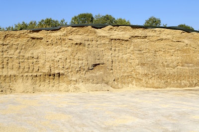 Corn Silage