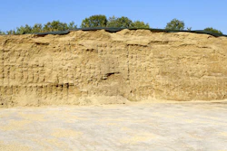 Corn Silage (1)