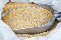 Feed Pellets Scoop Bag