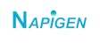 Napigen Logo Full
