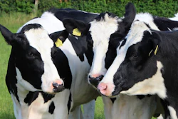 Agriculture 2775830 1280