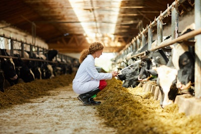 Cattle Veterinarian