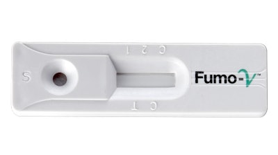 FumoVOne65e21cea38c9c