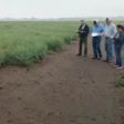 Mike Stamm, Kansas State University canola breeder, left, talks about canola traits at a test plot at the university's South Central Experiment Field near Hutchinson, Kansas.