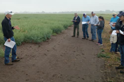 Mike Stamm, Kansas State University canola breeder, left, talks about canola traits at a test plot at the university's South Central Experiment Field near Hutchinson, Kansas.