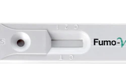 Fumo V One 65e21cea38c9c