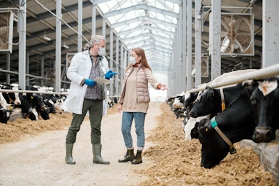 Biosecurity Workers Dairy Cows