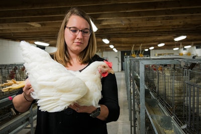 Water Efficient Chicken