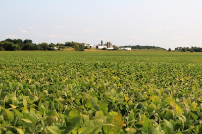 Rrl Soybean Field With Farm Background