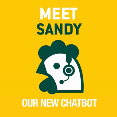 Sf Sandy Ai Release Image
