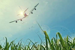 Airplane Over Corn
