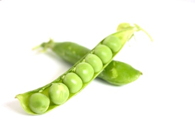 Bunge’s new range of pea and faba protein concentrates are designed to enhance protein content and support non-GMO and allergen-free labeling.