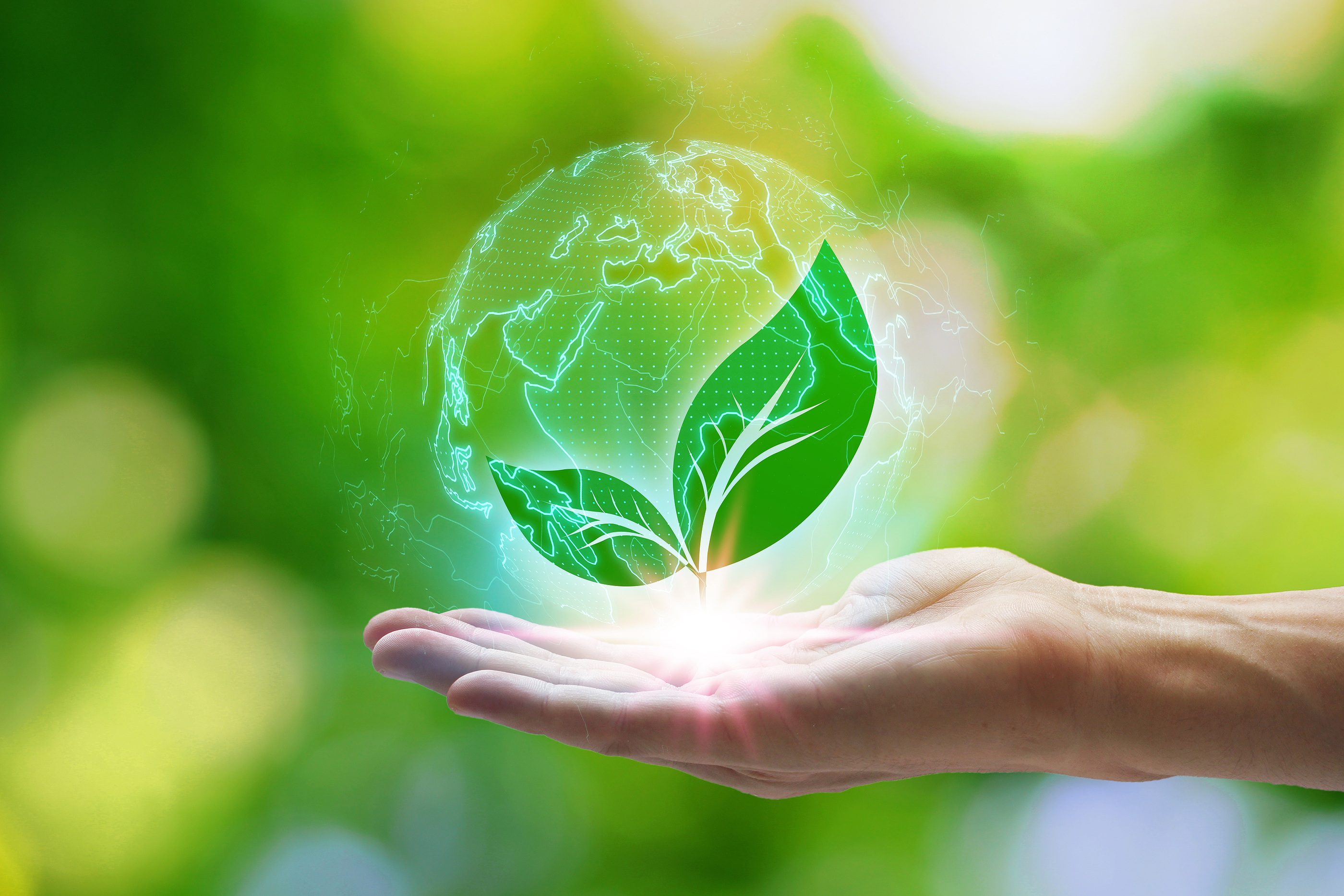 Sustainable Supply Chain