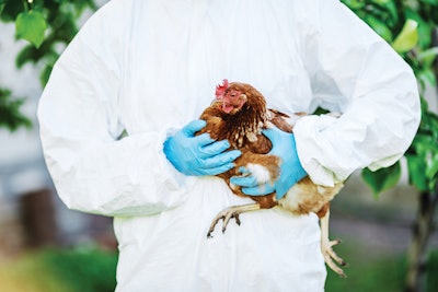Biosecurity will continue to remain key to poultry disease control – both now and in the future.