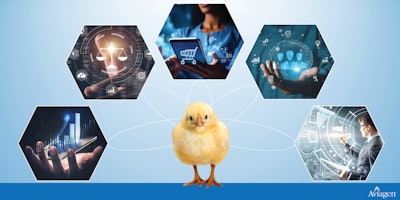 Emerging technologies are enhancing operational efficiency, benefiting poultry businesses, consumer safety and environmental sustainability.