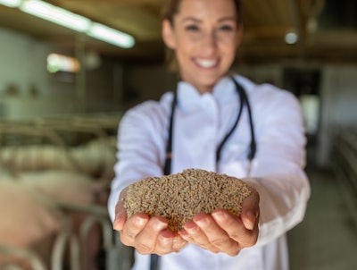 Vet Holding Feed Pellets