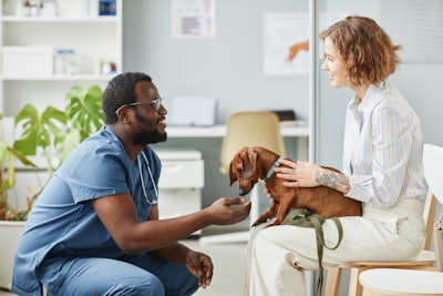 Seventy Four I Stock com Veterinarian Examining Pet With Owner