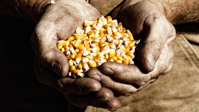 Farmer Holding Corn