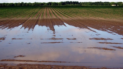 Fields 406153 1280