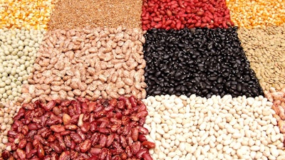 Dried Beans Display