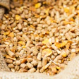 Bigstock Compound Feed In Sacks Fodder 37853893