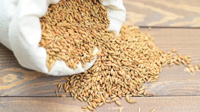 Cereal Grains Sack
