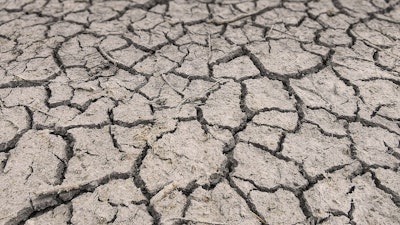 Drought Cracked Dirt