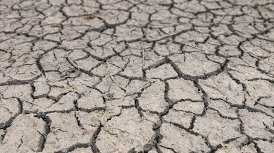 Drought Cracked Dirt