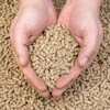 Hands Holding Feed