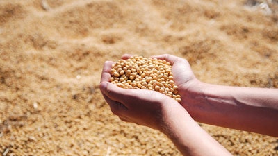 Soybeans Scouped From Pile Pixabay