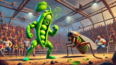Dall·e 2024 10 08 12 04 40 A Playful, Action Packed Scene Featuring A Humanoid Pea Plant And A Giant Cricket In A Dramatic Showdown Within A Metal Cage Arena The Pea Plant Char