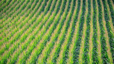Cornfield 902877 1280