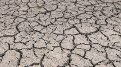 Drought Cracked Dirt